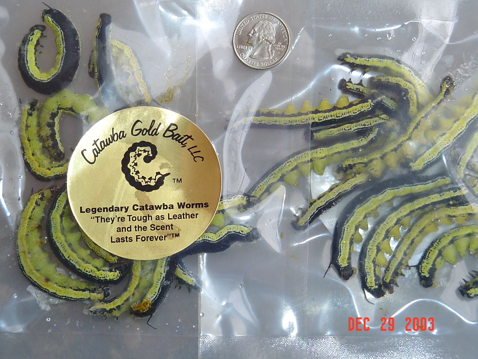 Catawba Gold Bait, LLC About Us